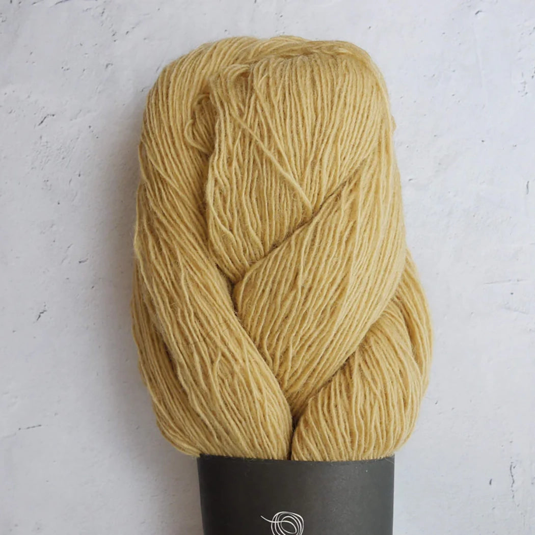 SPINNI(1/2巻き) | ISAGER