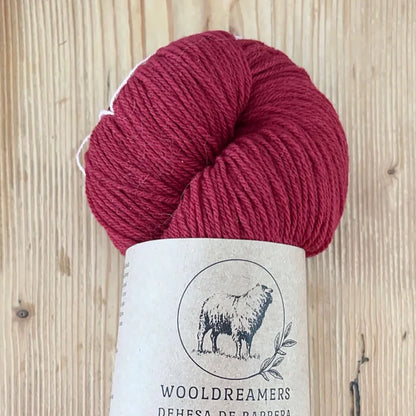 Dehesa de Barrera Fingering | wool dreamers