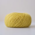 Anisis green 2011